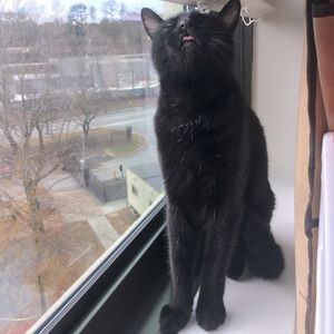 Meet your Posher, Marlena